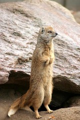 Killikus&reg; Fotographie